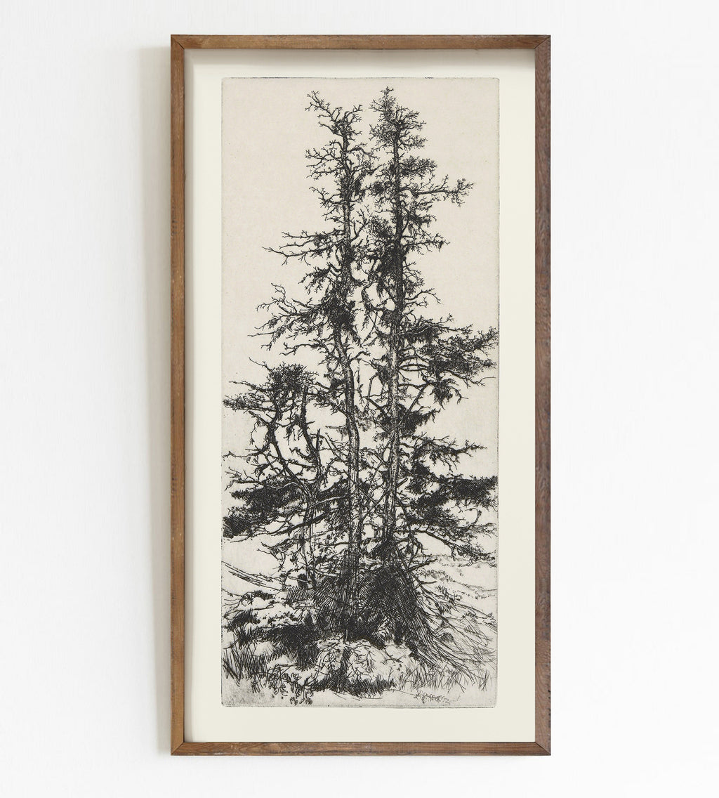 Vintage Gallery Wall Art Set: Eclectic European Prints (digital Download)