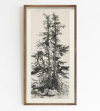 Vintage Gallery Wall Art Set: Eclectic European Prints (digital Download)