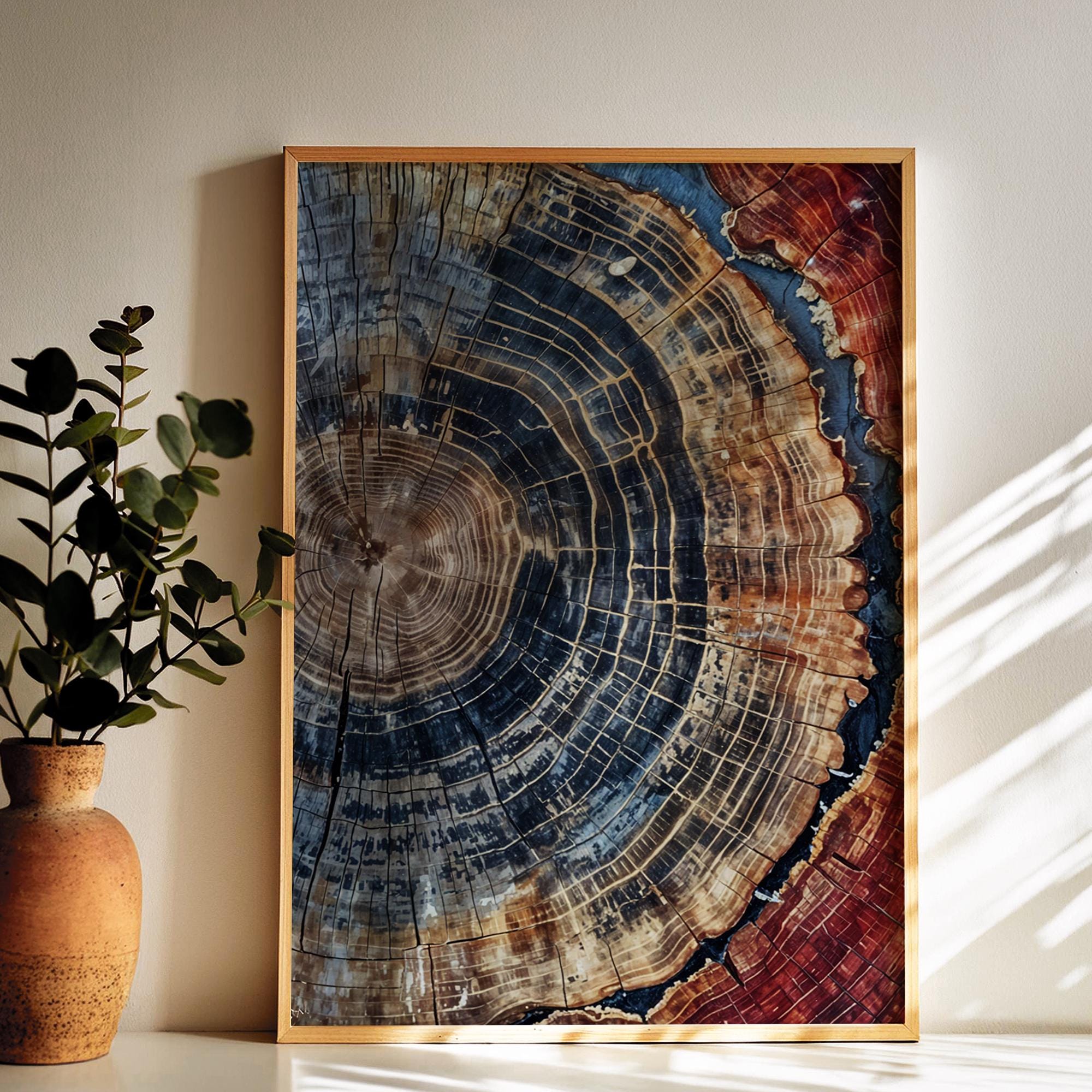 Tree Ring Framed Wall Art, Colorful Tree Ring Wall Decor, Minimalist Art, Modern Living Room Framed Print,  Office Wall Decor, Wall Art